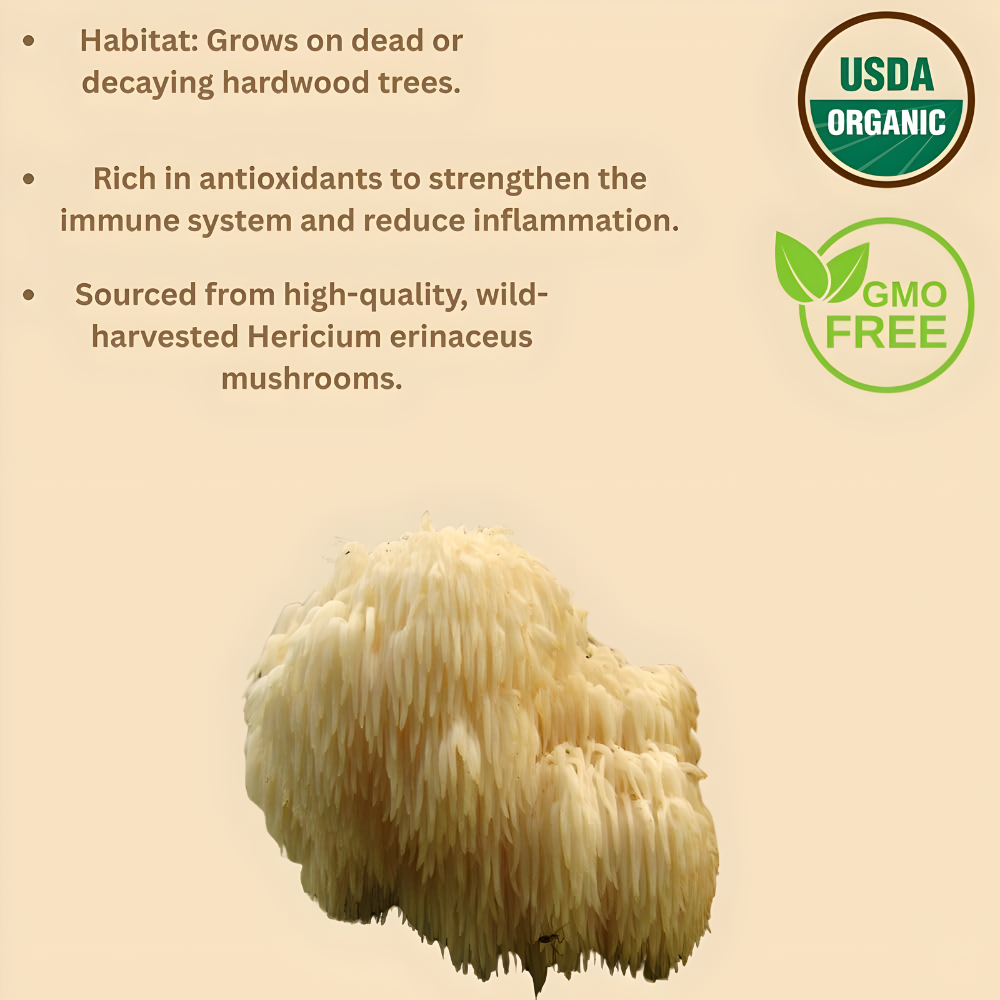 Organic Freeze Dried Lions Mane Mushroom Powder, Extract 15:1, Memory, Focus, Cognitive Support, 1.5 Gram Per Serving, Supplement Powder - Non-GMO, Vegan, USDA Organic