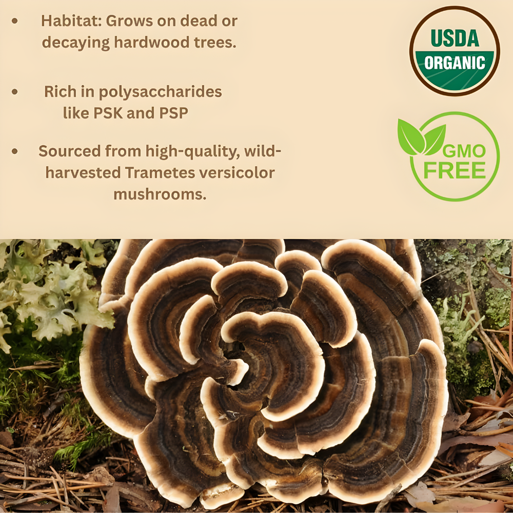 Organic Non-GMO Freeze Dried Turkey Tail Mushroom Powder (50:1 Extract), 32 Ounces | Immune Response & Cellular Level