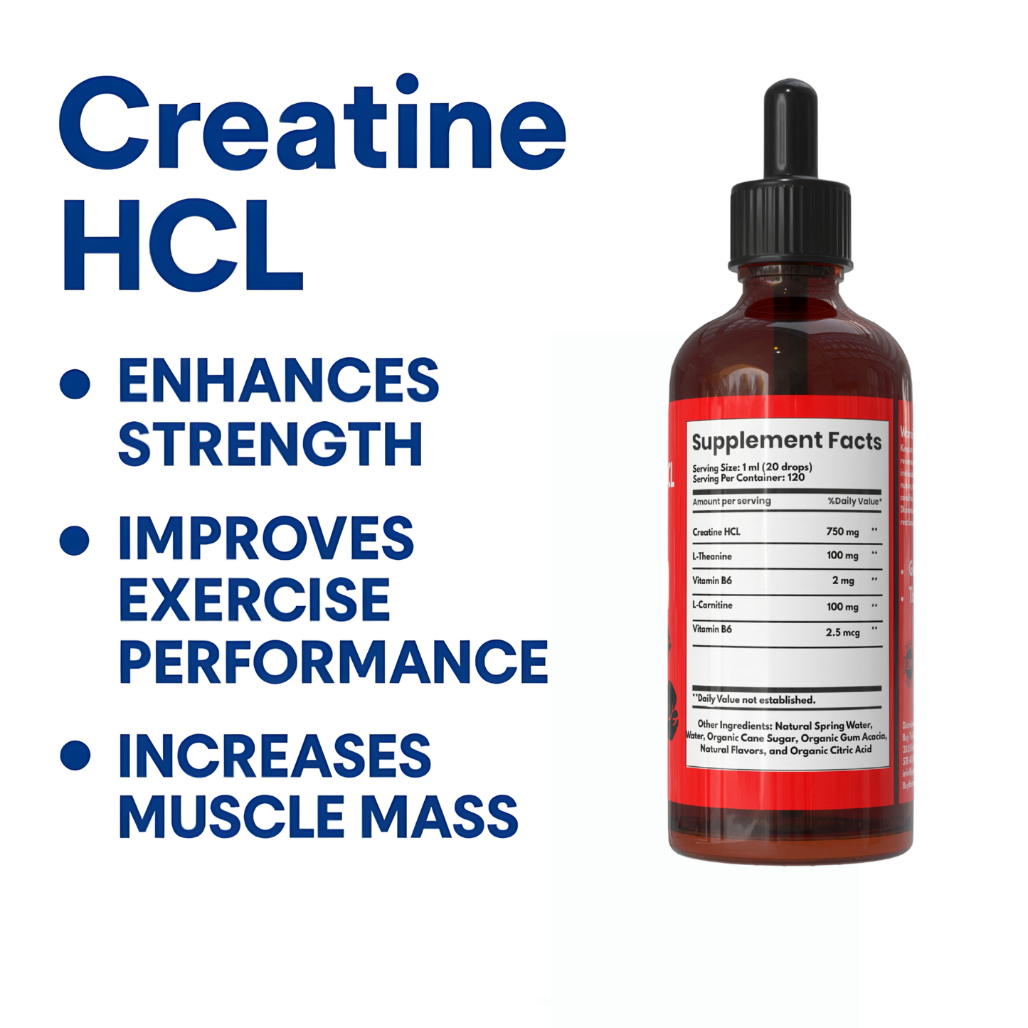Creatine HCL Liquid Drops for Men & Women - 1000mg Per Serving, L-Theanine, Vitamin B12 & B6, L-Carnitine - High Absorption 4 Fl Oz (120ml) (4 FL OZ, Strawberry)