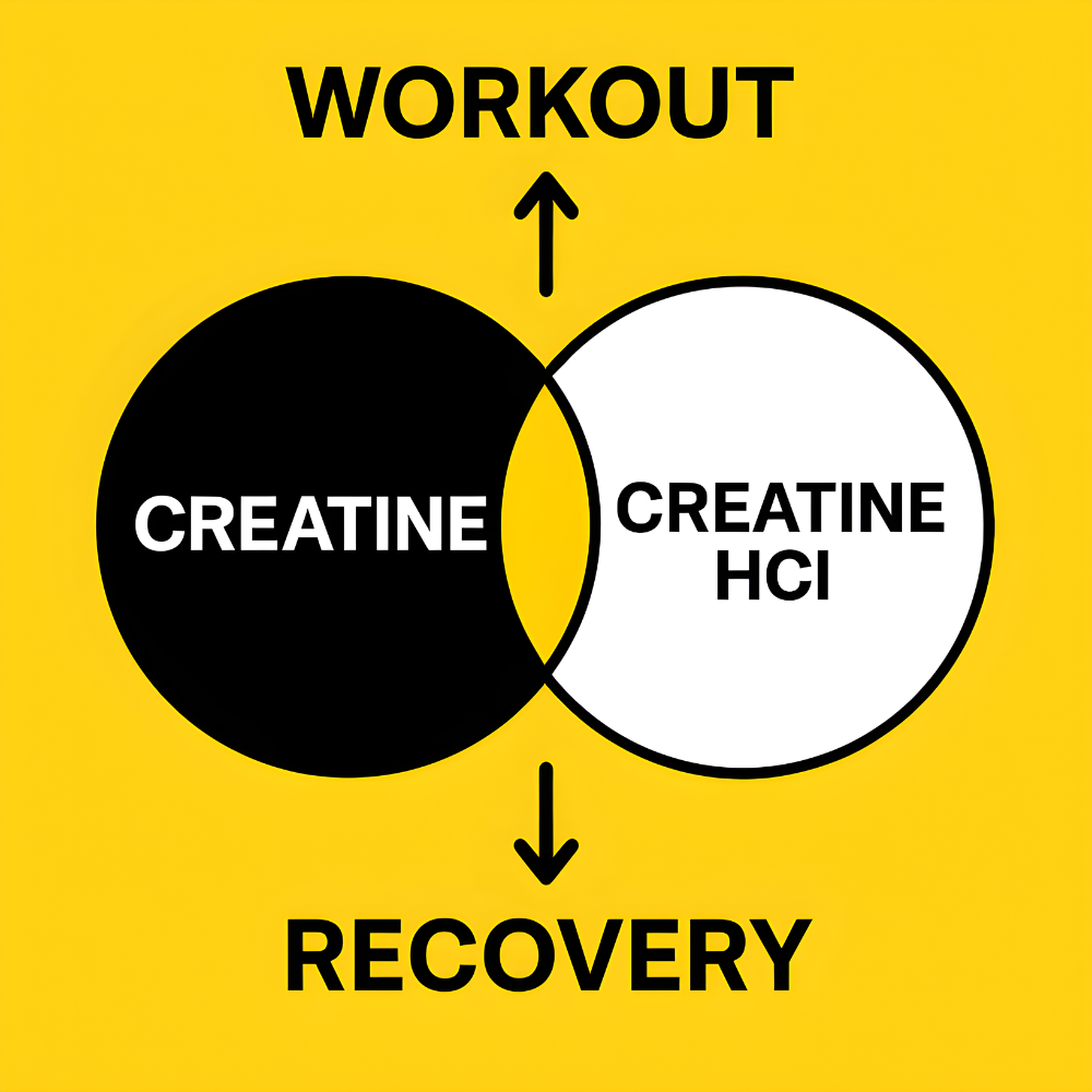 Creatine HCL + Creatine Monohydrate Mix, Less Sour & Easier to Consume, Post Workout Muscle Builder for Men & Women,Creatine Hydrochloride + Monohydrate, 16 OZ (454g)