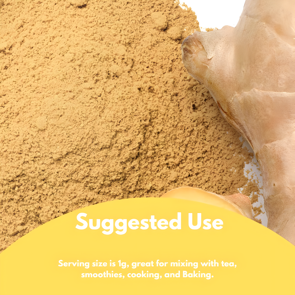 Organic Ginger Root Extract Powder, Ginger Supplement, Herbal Supplement, Great for Baking, Cooking & Tea, 453g (1 lbs)