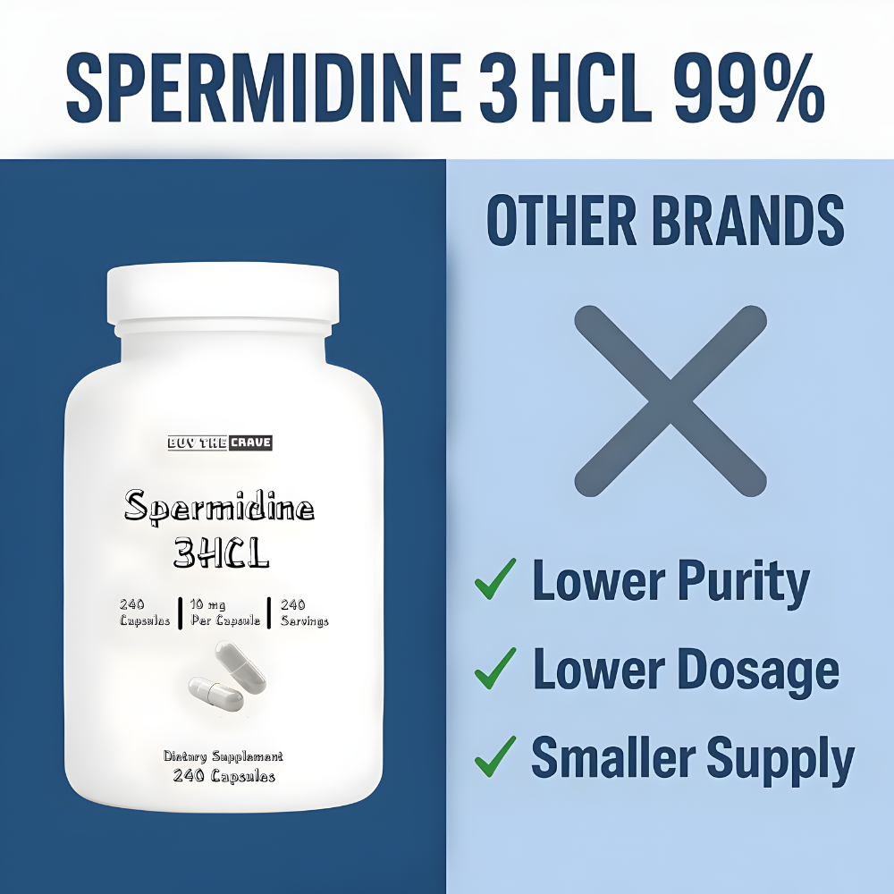 Spermidine 3HCL 99% Supplement – 10 mg per Serving – Plant-Based Formula for Cellular Function, Longevity & Autophagy Support – 240 Capsules – Vegan, Non-GMO