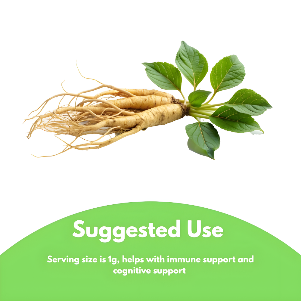 Organic Korean Panax Ginseng Root Extract, 200:1 Powder Root Extract, Maximum Strength, 170 g (6oz), 1 Gram Per Serving, with Active Ginsenosides