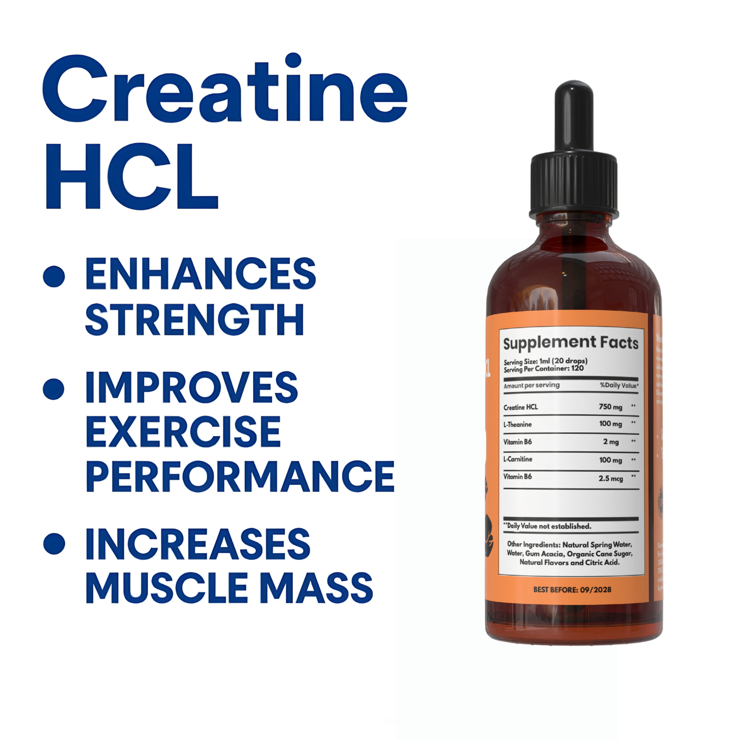 Creatine HCL Liquid Drops for Men & Women - 1000mg Per Serving, L-Theanine, Vitamin B12 & B6, L-Carnitine - High Absorption 4 Fl Oz (120ml) (4 FL OZ, Peach)