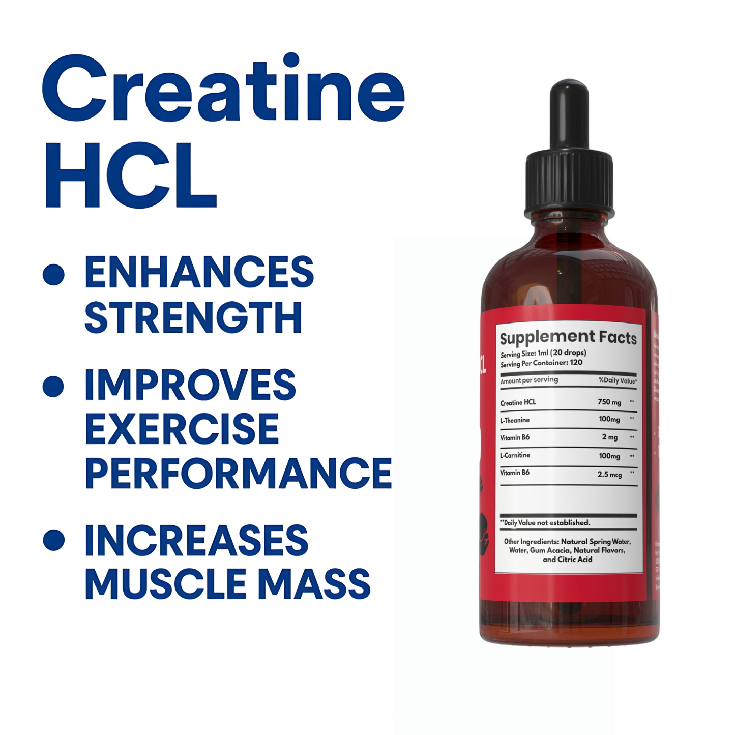 Creatine HCL Liquid Drops for Men & Women - 1000mg Per Serving, L-Theanine, Vitamin B12 & B6, L-Carnitine - High Absorption 4 Fl Oz (120ml) (4 FL OZ, Cherry)