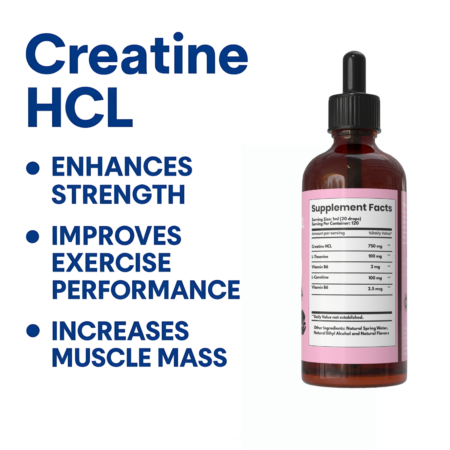 Creatine HCL Liquid Drops for Men & Women - 1000mg Per Serving, L-Theanine, Vitamin B12 & B6, L-Carnitine - High Absorption (Cotton Candy)