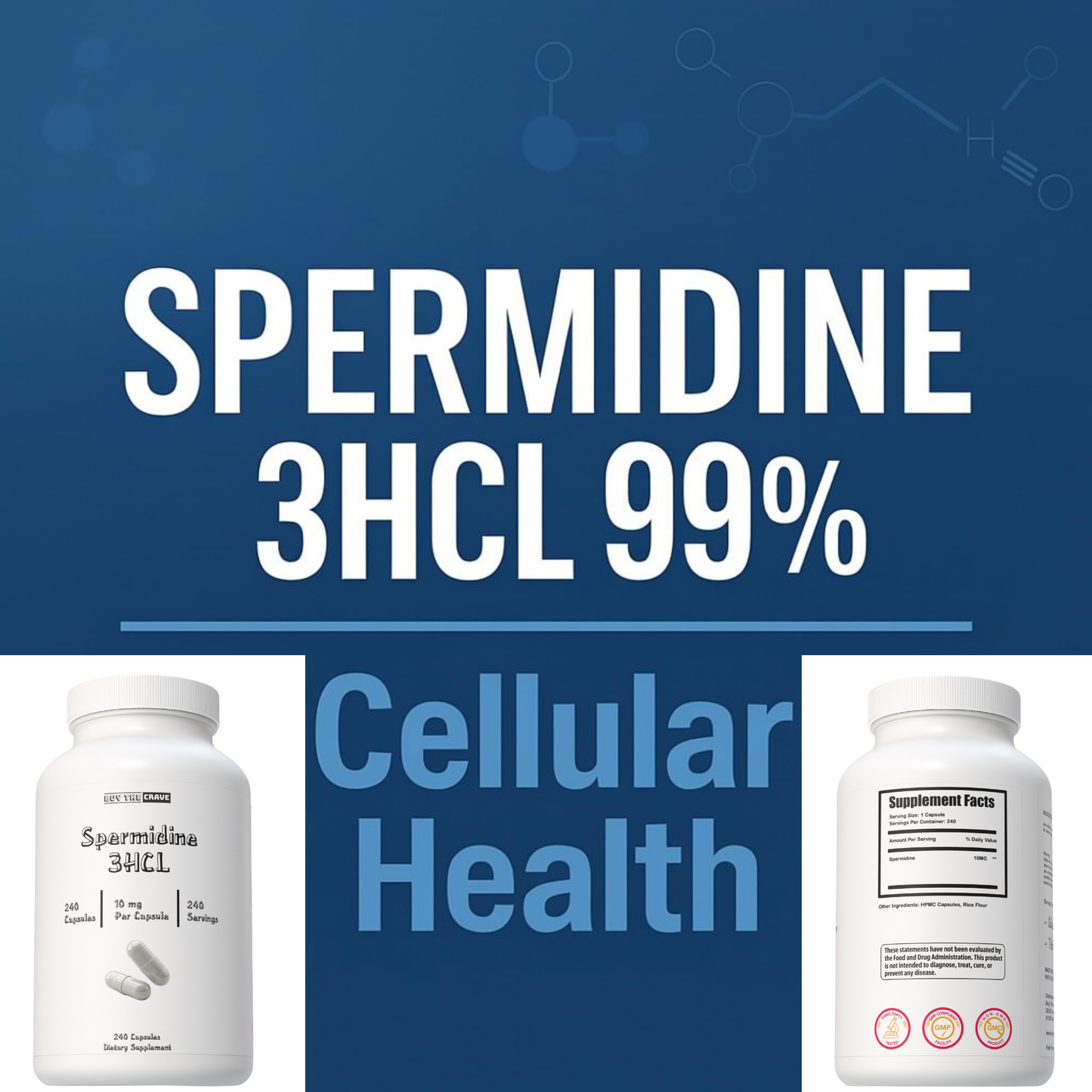 Spermidine 3HCL 99% Supplement – 10 mg per Serving – Plant-Based Formula for Cellular Function, Longevity & Autophagy Support – 240 Capsules – Vegan, Non-GMO